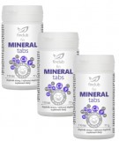 FINCLUB Mineraltabs - Komplex ásványianyag pótlás kapszulában 3 db-os csomag (3x110 db)