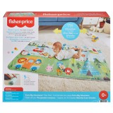 FISHER PRICE - Infant Fisher-Price Extra Big Adventures játszószőnyeg (MTGXR53)