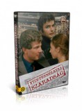 Fizetésnélküli szabadság - DVD