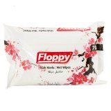 Floppy popsitörlő 70db