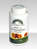 Fogarasi gomba GANODERMA őrlemény 100%-os