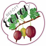 Formavágott befőtt cimke EGRES öntapadós műanyag alapú 5 db/csomag