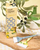 FRAMAR LIMONCELLO Root Repair Color Bush Set - Festőecset szett (2 db)