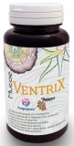 Freyagena Balance Freyagena Mucoe Ventrix 80 kapszula