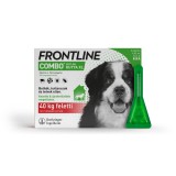 Frontline Combo rácsepegtető oldat kutyáknak 3 db XL-es pipetta