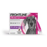 Frontline Tri-Act rácsepegtető oldat kutyáknak 20-40 kg-os kutyáknak