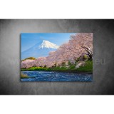 Fuji Vászonkép 069 tm-069
