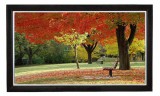 Funscreen Matt White Frame Screen 90x160 cm Format 16:9 fun40.169.176.1