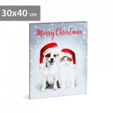 Family Karácsonyi LED-es hangulatkép - fali akasztóval, 2 x AA, 30 x 40 cm 58452