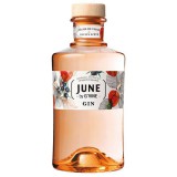 G'Vine June by GVine Wild Peach Gin (37,5% 0,7L)