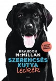 Gabo Kiadó Brandon Mcmillan: Szerencsés kutya leckék - könyv