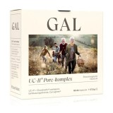 GAL UC-II Porc-komplex 60 db