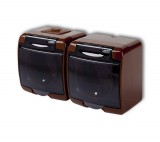 GAO Aquastar 2-es földelt dugalj, átlátszó csapfedeles, IP54, barna