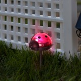 Garden of Eden 11240C LED-es szolár lámpa - katica - hidegfehér - piros - 75 x 60 x 156 mm