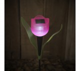 Garden of Eden 11703 LED-es szolár tulipánlámpa