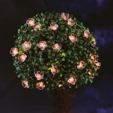 Garden Of Eden Szolár fényfüzér - virág - 2,4 m - 25 melegfehér LED (55218C)