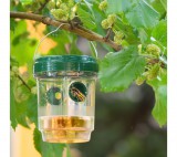 GARDEN OF EDEN Szolár rovarcsapda - felakasztható