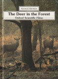 Gareth Stevens Publishing The Deer in the Forest