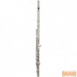 Garry Paul GP-6456SE fuvola