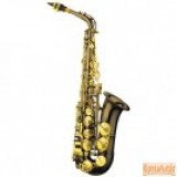 Garry Paul GP6430 BN alt szaxofon