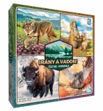 Gémklub Irány a vadon! - Észak-Amerika társasjáték