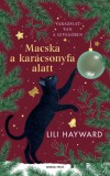 General Press Kiadó Lili Hayward: Macska a karácsonyfa alatt - könyv