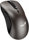 Genius Ergo 8100S Wireless mouse Champagne Titanium 31030040402