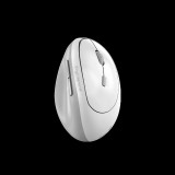 Genius Ergo 8350S Wireless Egér - Fehér/Szürke (31030041401)