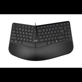 Genius Ergo KB-700 billentyűzet fekete (31310053404) (31310053404)