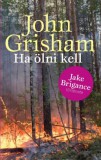 Geopen Kiadó John Grisham: Ha ölni kell - könyv