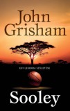 Geopen Kiadó John Grisham: Sooley - könyv