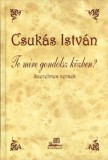 Gesta Kiadó Csukás István: Te mire gondolsz közben? - könyv