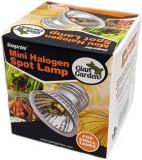 Giangarden Mini Halogen Spot Lamp terrárium izzó (50 Watt)