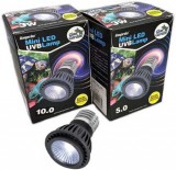Giangarden Mini LED UVB Lamp 5.0 terráriumi LED izzó (3 Watt, E27)
