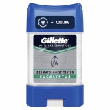 Gillette Eucalyptus stift gél 70ml