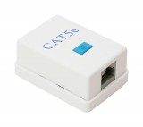 Globiz Fali aljzat - 8P8C UTP Cat.5