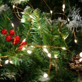 Globiz Fényfüzér - melegfehér - 100 x microLED - 10 m - 2 x AA