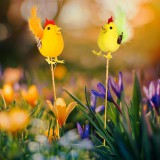 Globiz Húsvéti dekoráció - kakas - 2 féle - leszúrható - 24 cm