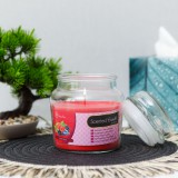 Globiz Illatgyertya - csupor fedővel - erdei gyümölcs - 310 g