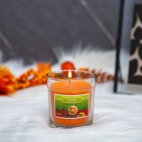 Globiz Illatgyertya - "karácsonyi fűszer" - 120 g