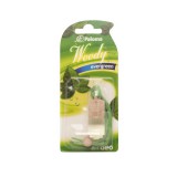 Globiz Illatosító Paloma Woody Evergreen 4 ml
