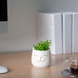 Globiz Műnövény dekoráció - macskafej - 9 x 14 cm - 3 féle