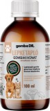 Gomba Dr. LEPKETAPLÓ folyékony gombakivonat kutyáknak és macskáknak 100 ml