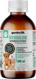 Gomba Dr. NYUGALOM folyékony gombakivonat kutyáknak és macskáknak 50 ml