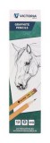 Grafitceruza radírral, HB, hatszögletű, VICTORIA OFFICE, 100 (TVI09102)