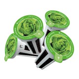 GrowGreen aspara vetőmag - saláta