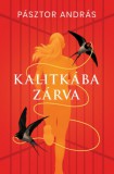 Gyémántfelhő Kiadó Pásztor András: Kalitkába zárva - könyv