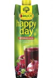 Gyümölcslé, 100%, 1 l, RAUCH "Happy day", piros multivitamin