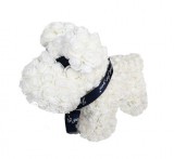 Habrózsa kutya 2 színben - Fehér