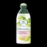 Hajerősítő sampon komlóval és kölessel -L'Angelika-